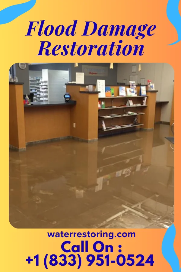 Flood Damage Restoration in Argyle, MN